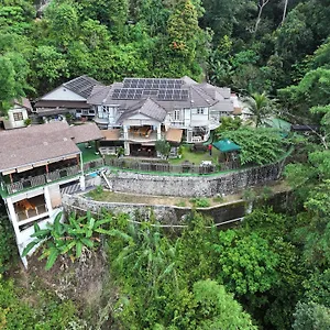 Hickory Penang Hill Malaysia